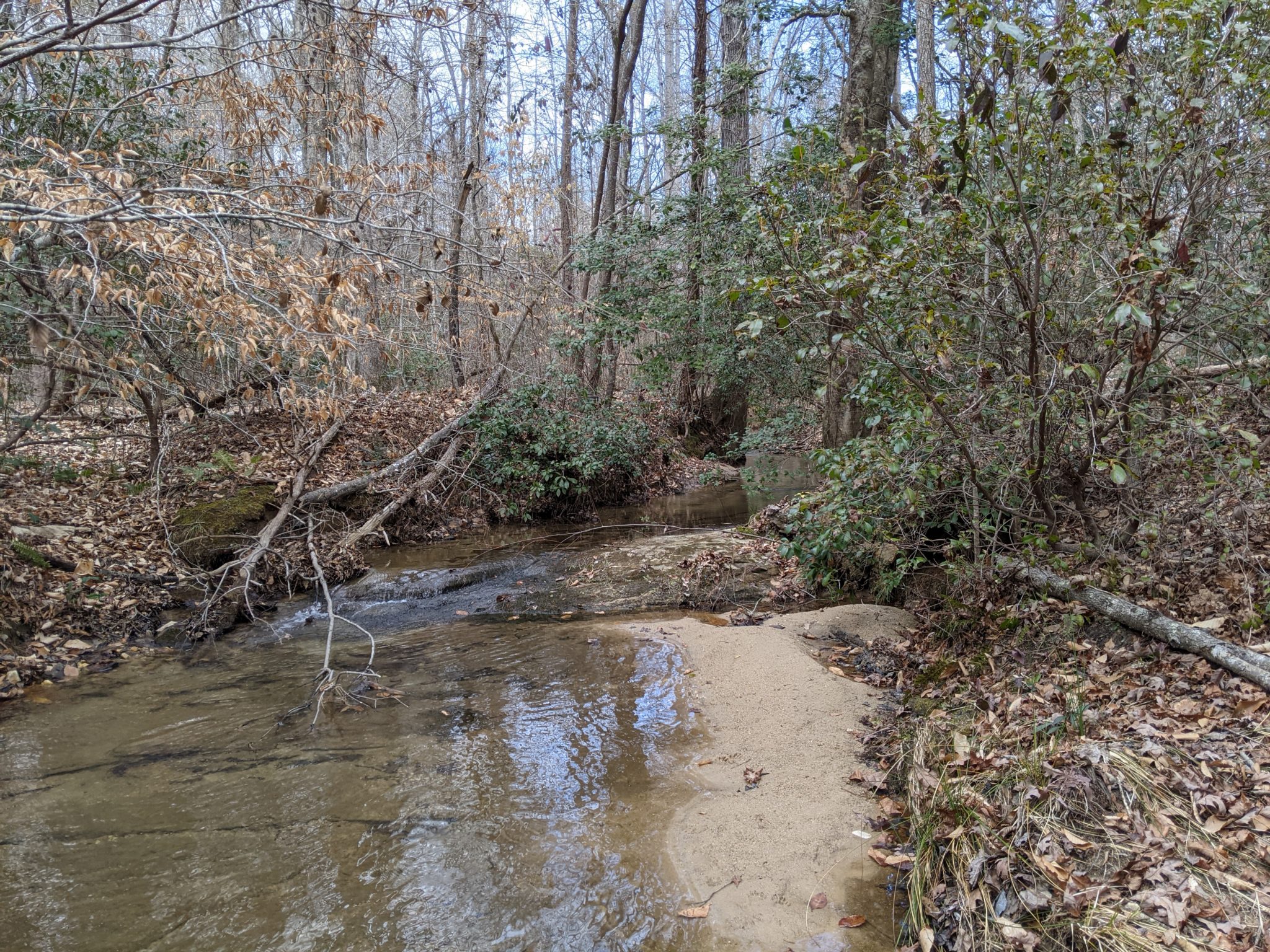 Exploring New Trails at Lake Russell WMA Sourwood and Ladyslipper